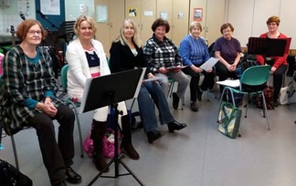 Marjukoiden harjoitukset